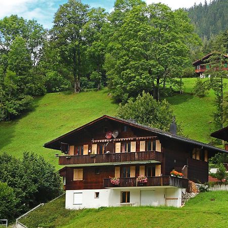 Apartment Chalet Blaugletscher By Interhome Гріндельвальд Екстер'єр фото