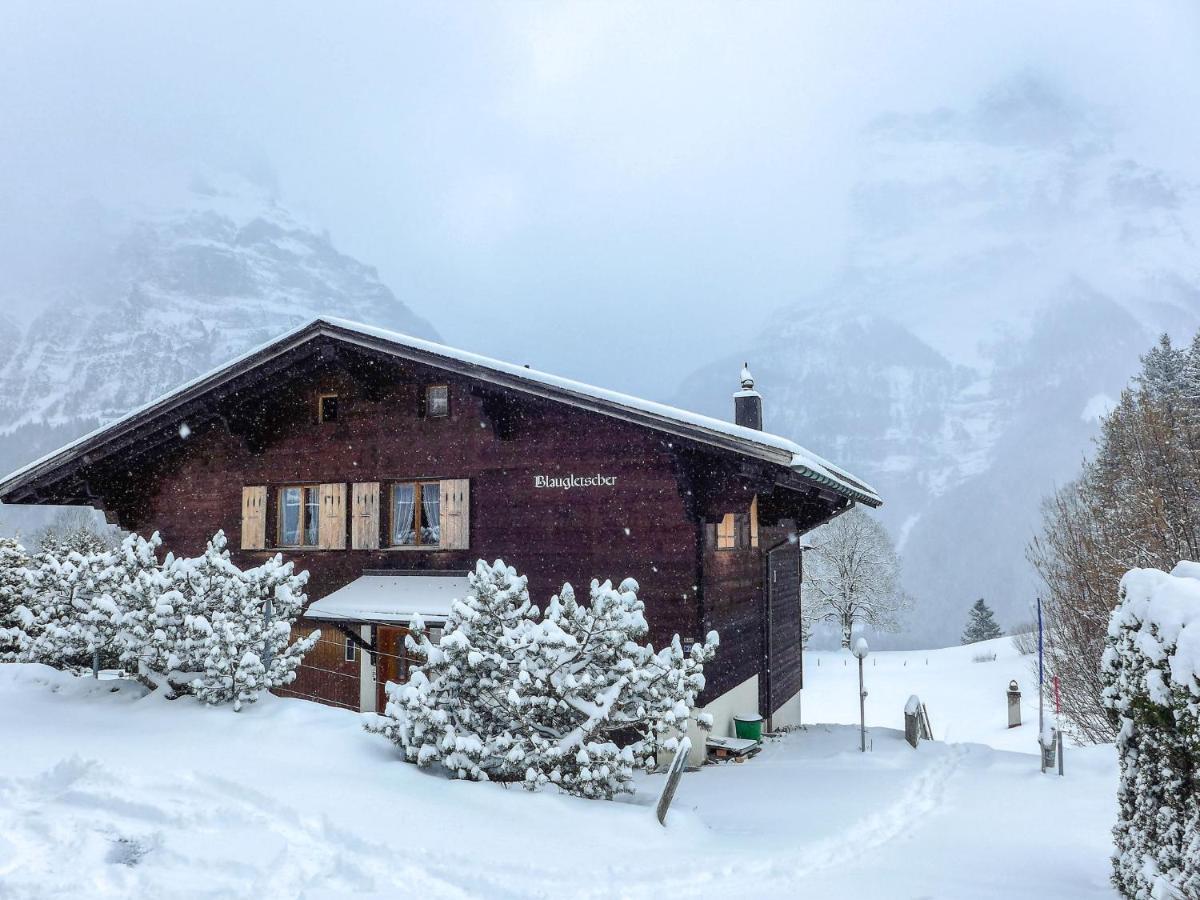 Apartment Chalet Blaugletscher By Interhome Гріндельвальд Екстер'єр фото