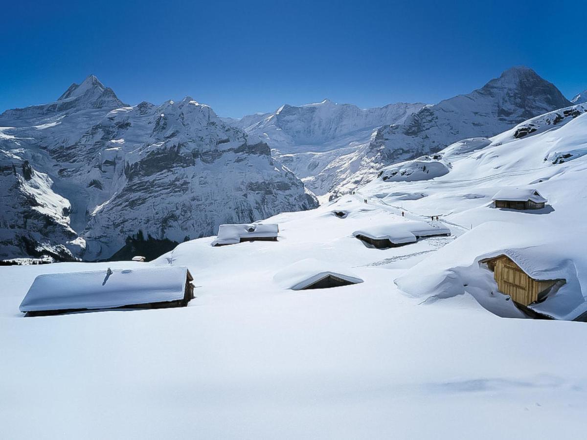 Apartment Chalet Blaugletscher By Interhome Гріндельвальд Екстер'єр фото