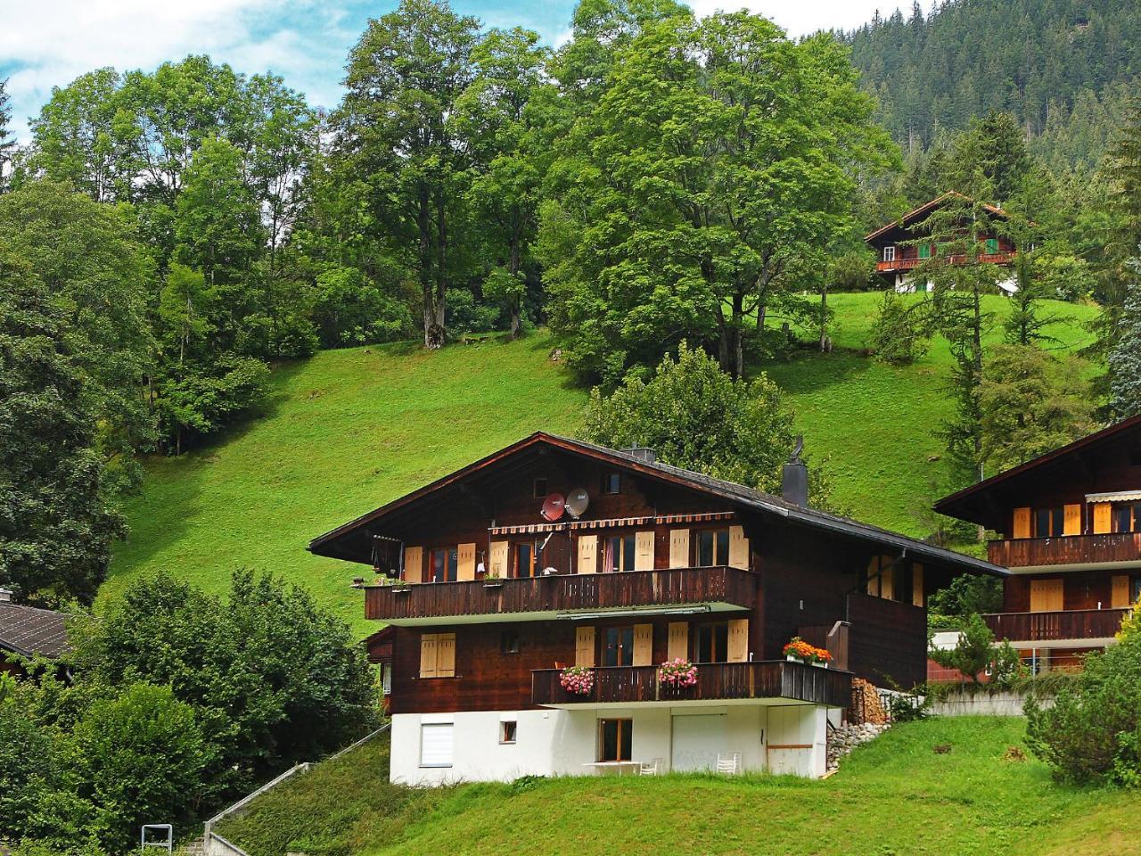 Apartment Chalet Blaugletscher By Interhome Гріндельвальд Екстер'єр фото